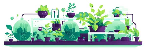 Mastering Hydroponics: The Ultimate Guide to Answering Your Top Hydroponics Questions