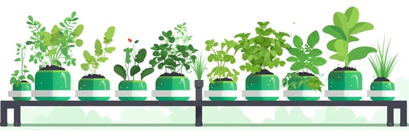 Unlocking the Secrets of Hydroponics: Your Complete Guide to Soilless Gardening