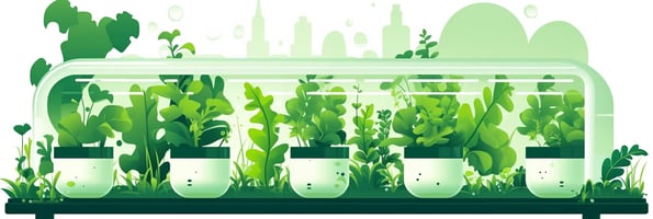 Hydroponics 101: Your Comprehensive Guide to Soil-less Gardening