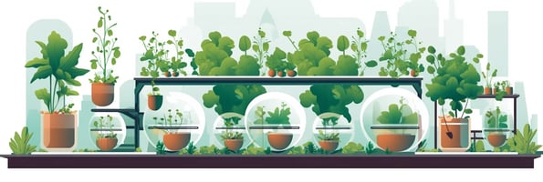 Hydroponics 101: The Ultimate Guide to Growing Plants Without Soil - Everything You've Ever Asked