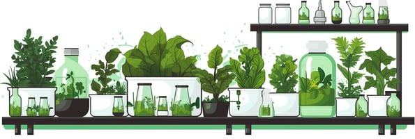 The Ultimate Guide to Hydroponics: Everything You've Been Asking and More