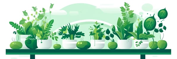 Unlocking the Future of Gardening: Your Ultimate Guide to Hydroponics