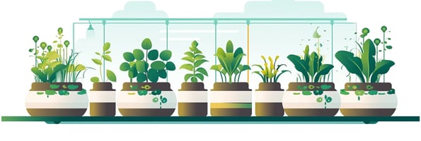 Unlocking the Potential of Hydroponics: Your Ultimate Guide to the Future of Gardening