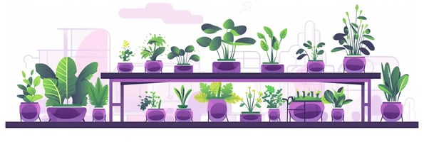 Unveiling Hydroponics: Top Questions Answered and Essential Tips to Boost Your Indoor Gardening Success