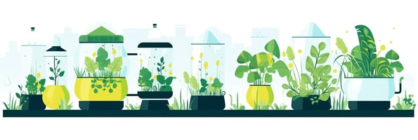 Unlocking the Secrets of Hydroponics: Your Top Questions Answered