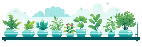 Master Hydroponics in 2023: Your Ultimate Guide to Successful Indoor Gardening