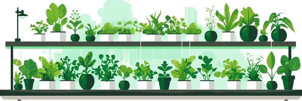 Mastering Hydroponics: The Ultimate Guide to Your Most Frequently Asked Questions