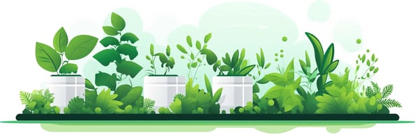 The Ultimate Guide to Hydroponics: Answers to Your Top Questions and How to Get Started Today