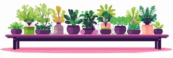 Ultimate Guide to Hydroponics: Top Questions Answered for Beginners and Experts