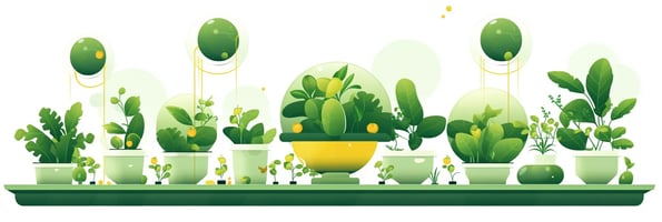 Unlocking Hydrophonics: Your Ultimate Guide to a Successful Indoor Garden