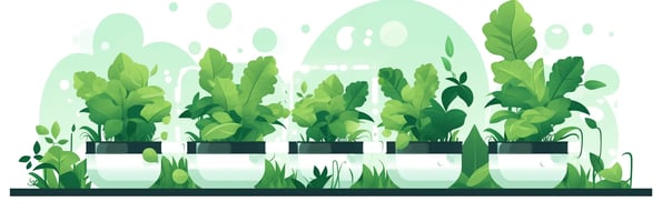 Unlock the Future of Gardening: A Comprehensive Guide to Hydroponics