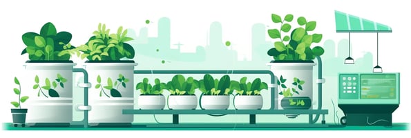 Hydroponics 101: Your Complete Guide to Mastering the Art of Soilless Gardening