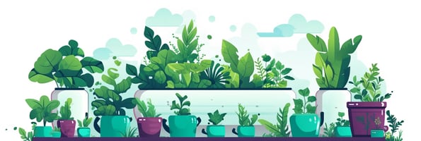 Unlocking the Future of Gardening: Your Complete Guide to Hydroponics 101