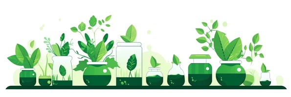 Unlock the Potential of Hydroponics: A Comprehensive Answer to All Your Top Questions