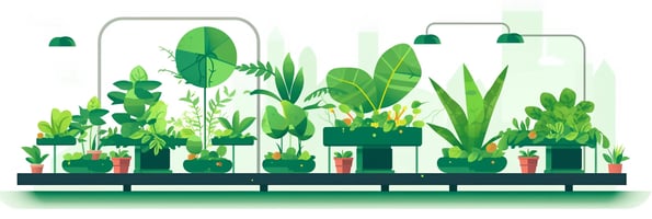 10 Essential Hydroponics Tips: Your Ultimate Guide to Soil-less Gardening