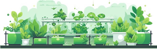 Unlocking the Secrets of Hydroponics: Your Ultimate Guide to Soil-less Gardening