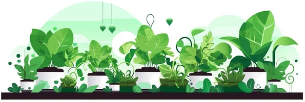 Ultimate Guide to Hydroponics: Top FAQs Answered for Beginners and Experts Alike
