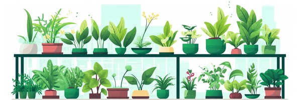 Unlocking the Secrets of Hydroponics: The Ultimate Guide to Indoor Gardening Success