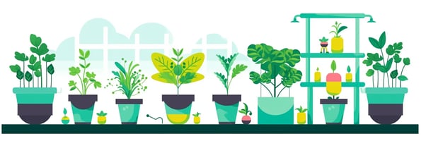 Unlocking the Secrets of Hydroponics: A Comprehensive Guide to Your Top Questions