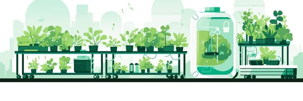 The Ultimate Guide to Hydroponics: Top Questions Answered for Beginners and Experts Alike