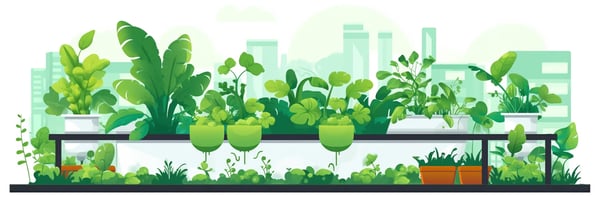 Unlock the Secrets of Hydroponics: Your Ultimate Guide to the Top 10 FAQs