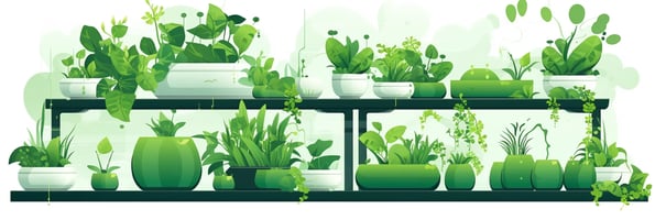 Mastering Hydroponics: The Ultimate Guide to Growing Plants Without Soil - Top Questions Answered