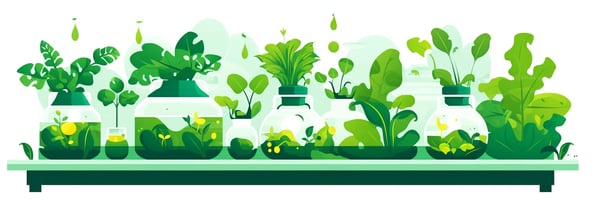 Unlocking the Future of Farming: Your Comprehensive Guide to Hydroponics