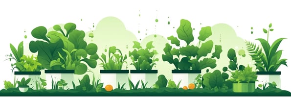 Unlock the Secrets of Hydroponics: Your Ultimate Guide to the Future of Gardening