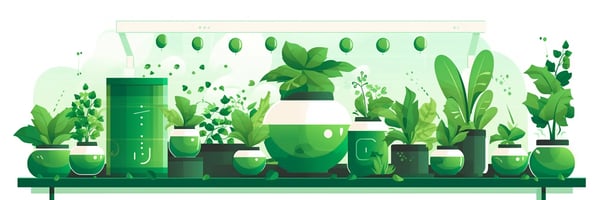 Unlock the Secrets of Hydroponics: Your Complete Guide to Efficient Indoor Gardening