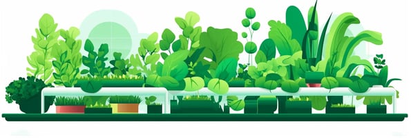 Hydroponics 101: Unleashing the Power of Soilless Gardening - Answers to the Most Asked Questions