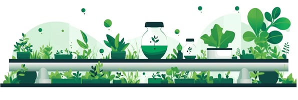 Unlock the Power of Water: Your Comprehensive Guide to Hydroponics