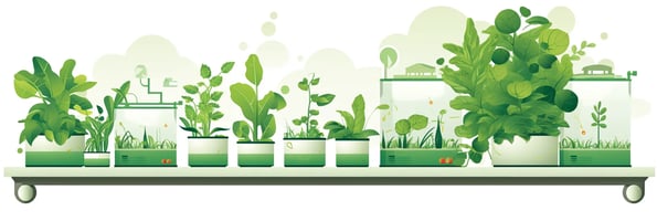 Unlocking the Secret of Hydroponics: Your Ultimate Guide to Soil-less Gardening