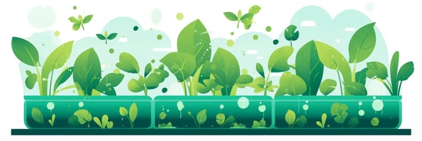 Unlocking the Secrets of Hydroponics: Your Ultimate Guide to Mastering Indoor Gardening