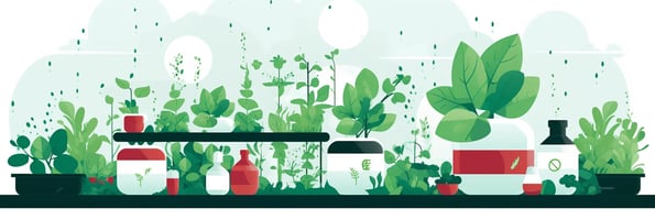 Ultimate Guide to Hydroponics: Top Questions Answered and Tips for Maximum Growth