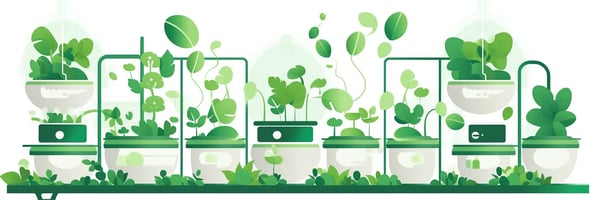 Hydroponics 101: The Top Questions Answered for a Bountiful Indoor Harvest