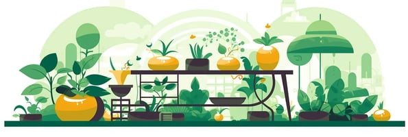 Mastering Hydroponics: 10 Common Questions Answered for Boosting Your Indoor Gardening Success