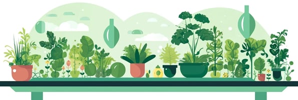 Unlock the Potential of Hydroponics: A Comprehensive Guide to Your Top Questions