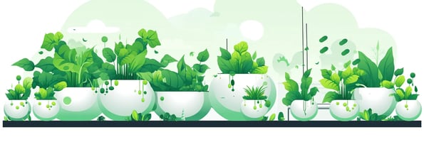 Master the Art of Hydroponics: Your Ultimate Guide to Soil-Free Gardening