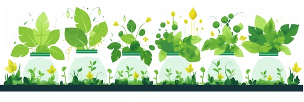 Hydroponics 101: Your Ultimate Guide to Mastering Soil-less Gardening