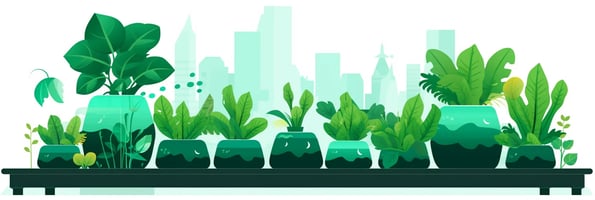 Mastering Hydroponics: Top 10 Questions Answered for a Thriving Indoor Garden
