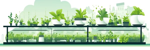 Unlocking the Secrets of Hydrophonics: Your Ultimate Guide to Successful Indoor Gardening