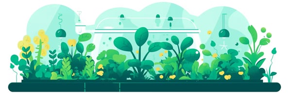 Unlocking the Secrets of Hydroponics: A Comprehensive Guide to Your Most Pressing Questions