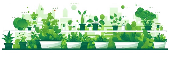 Hydroponics 101: How to Grow Plants Without Soil & Boost Your Yields