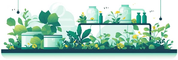 10 Essential Steps to Master Hydroponics: A Comprehensive Guide for Beginners