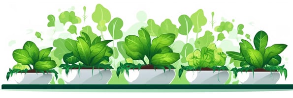 Ultimate Guide to Hydroponics: The Top 10 Questions Answered for Beginners