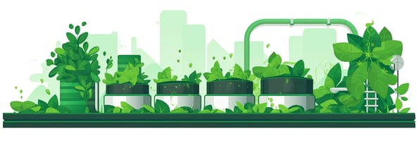 Master Hydroponics: Top 10 Questions Answered for Optimal Indoor Gardening