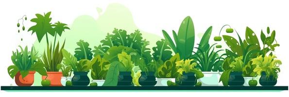 The Ultimate Guide to Hydroponics: Top Questions Answered for Green Thumbs!