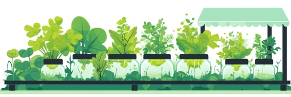 The Ultimate Guide to Hydroponics: Top Questions Answered for Beginners and Experts
