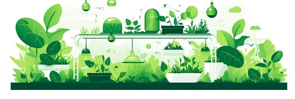 Mastering Hydroponics: The Ultimate Beginner's Guide to Growing Plants Without Soil