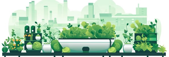 Hydroponics 101: Your Complete Guide to the Future of Gardening